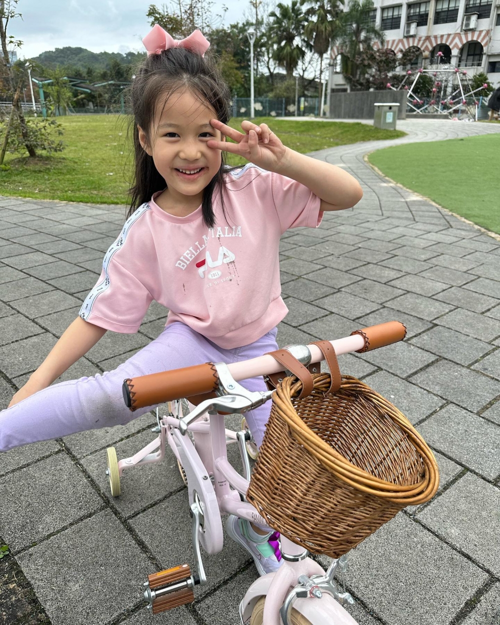 網民取笑李易的前世情人出軌了