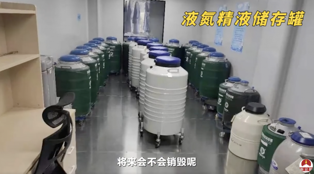 過關的精子將會移至超低溫裝置保存。