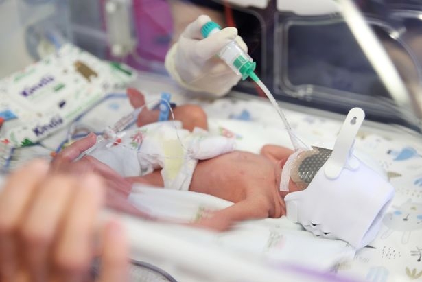 媽媽懷孕至29周，5胞胎便要剖腹出世。