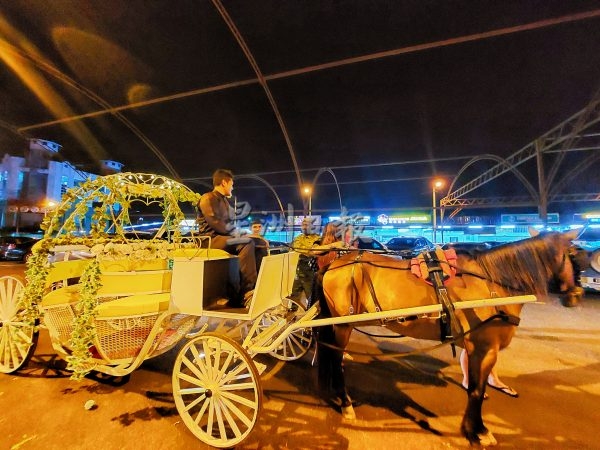 馬來西亞一對新人,為婚禮打造了一架南瓜車。