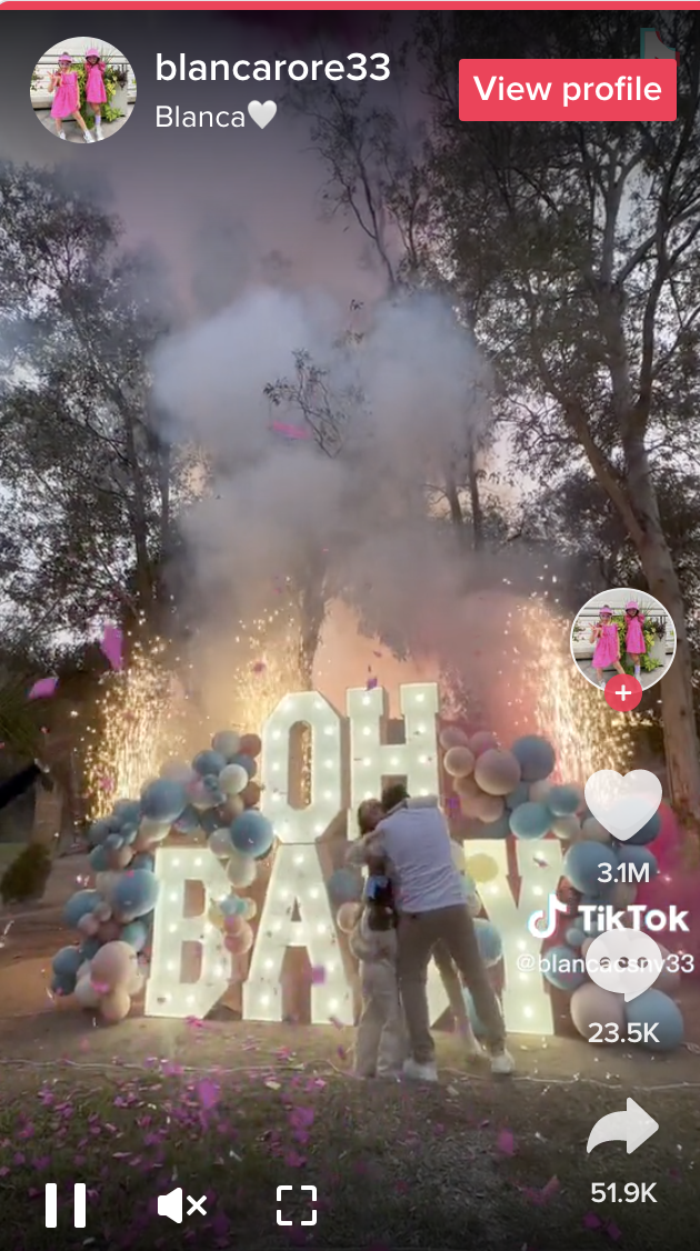 如此大陣仗的公布，卻惹來網民批評。