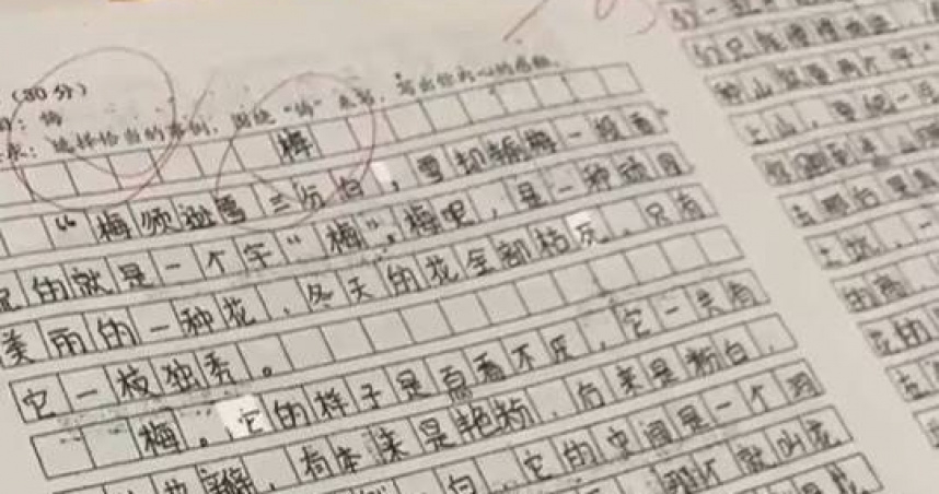 小六生作文時，不小心看錯題目裡的一個字