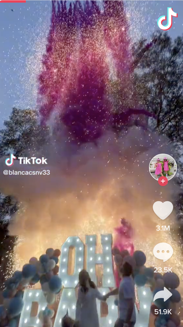 外國有夫婦在森林點燃巨型煙花，公布寶寶性別。