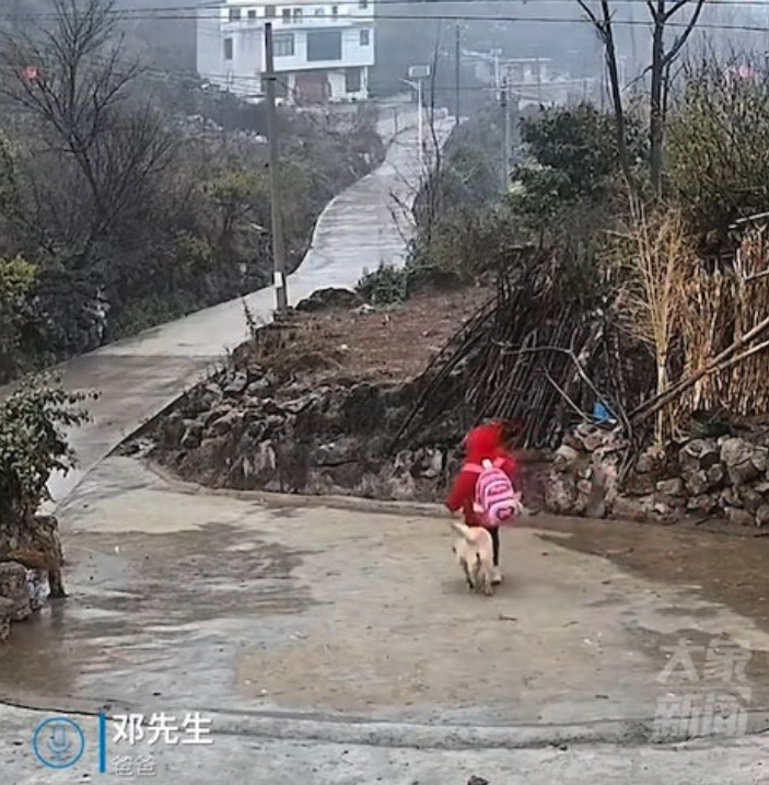 內地一名7歲的女童,每天都要自己單程徒步走40分鐘上學,來回共走6公里。