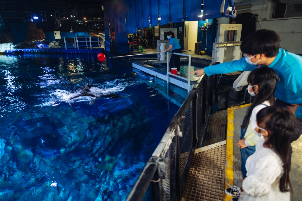 海洋公園春日歷險課程「小挑戰者」：小朋友須走訪公園各區，運用五感挑戰一系列任務及遊戲。