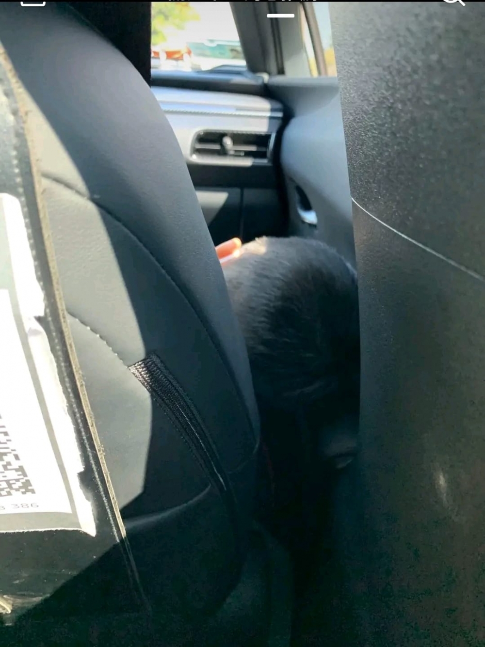 發文網友拍到司機兒子在副駕駛座上睡覺。