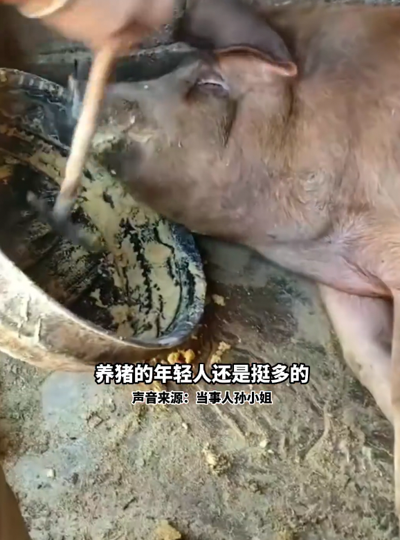 當一個剛大學畢業的女生到養豬場工作，家人不但沒有反對，更十分支持她。