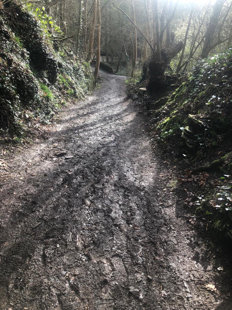 連場大雨後，泥路印滿腳印和單車痕，有時都會怕跣倒。